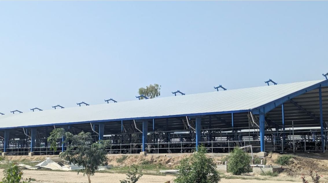 Ghani Dairies cow shed project, Noorpur Thal